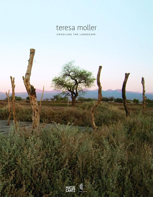 teresa moller. Unveiling The Landscape  Claudia Pertuzé  9783775736978